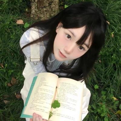 布里叶女士 海报